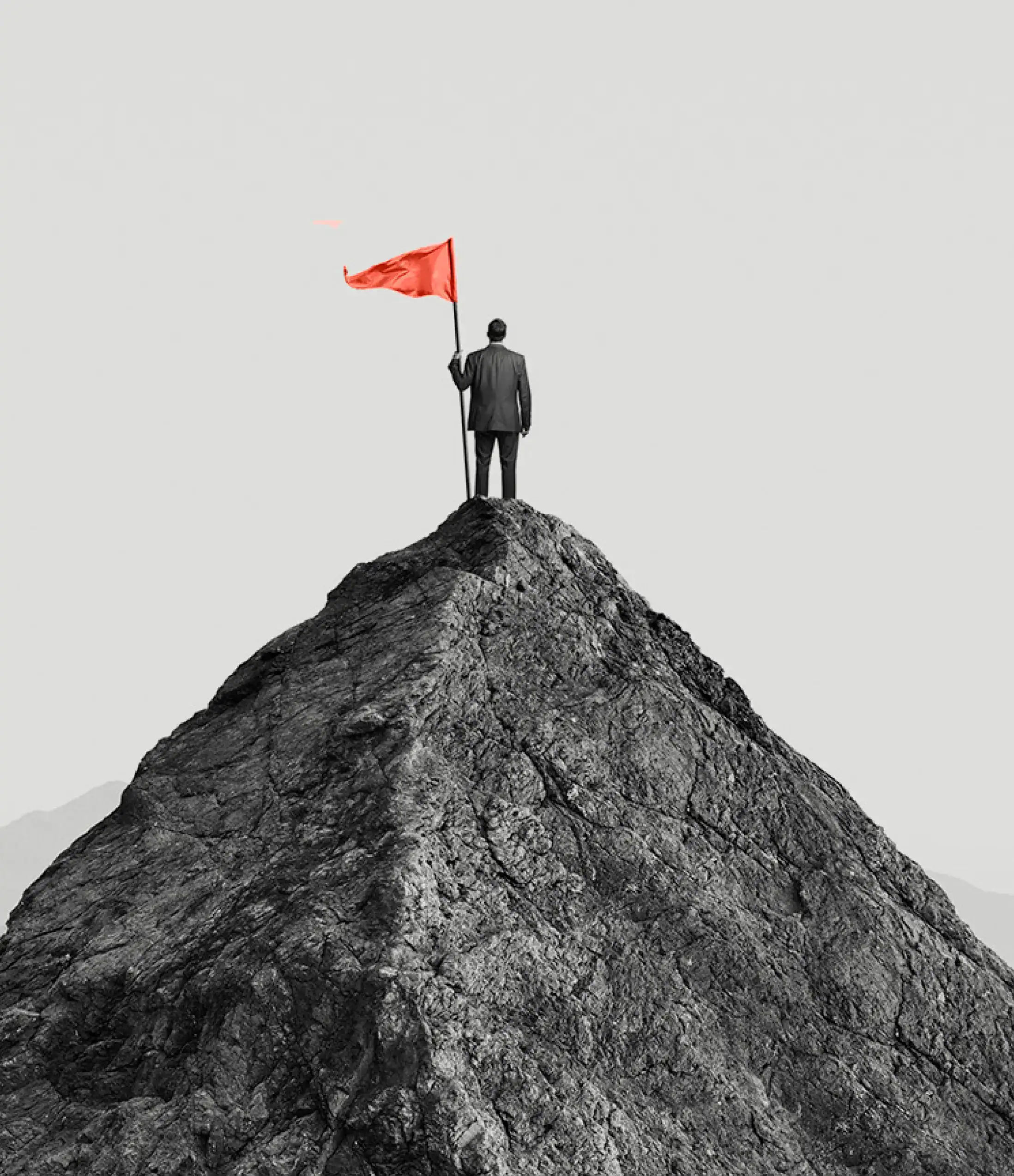 The Macro Institute Mountain