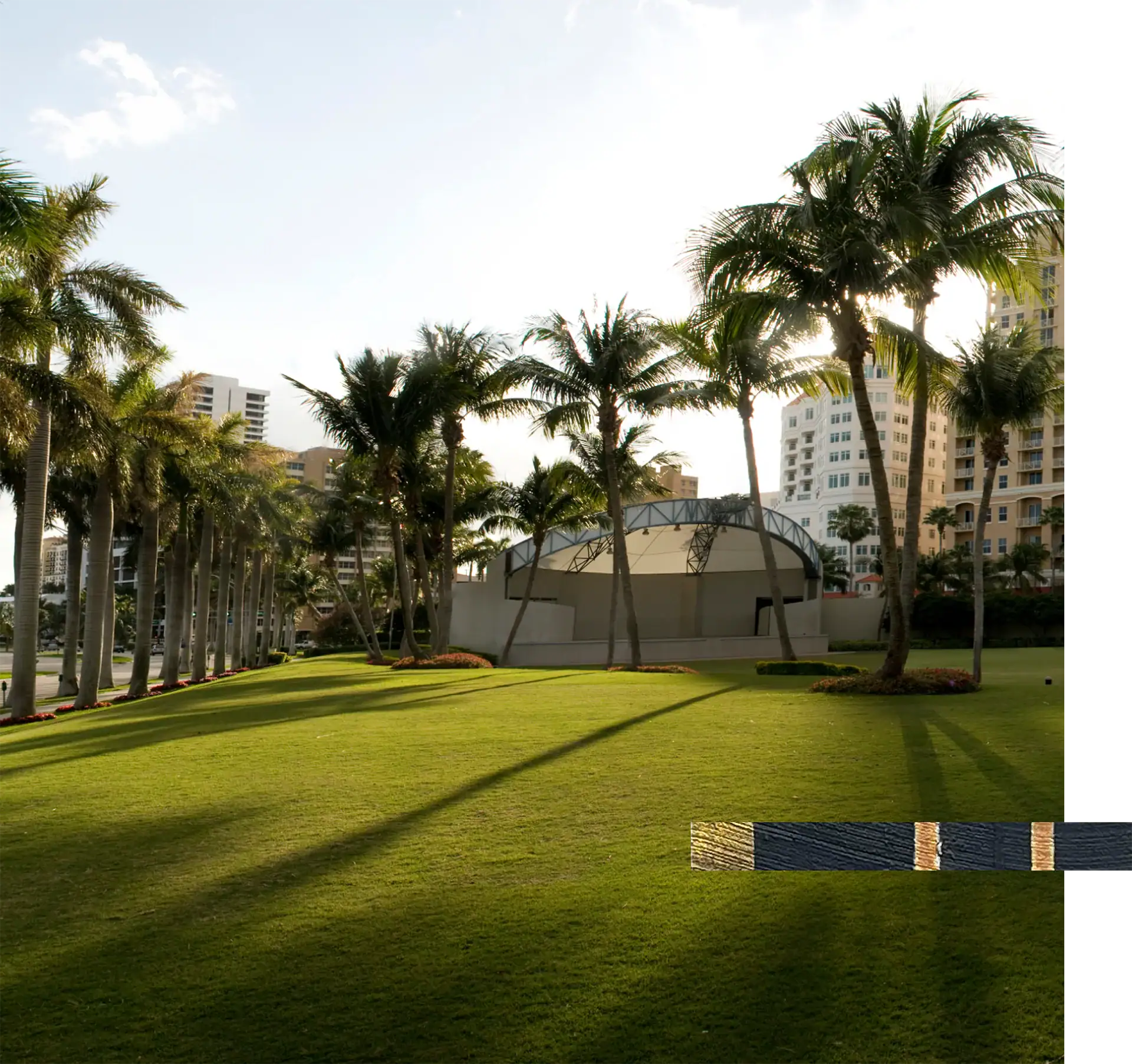 A lush green park featuring tall palm trees, a stage, and modern high-rise buildings in the backgrou.
