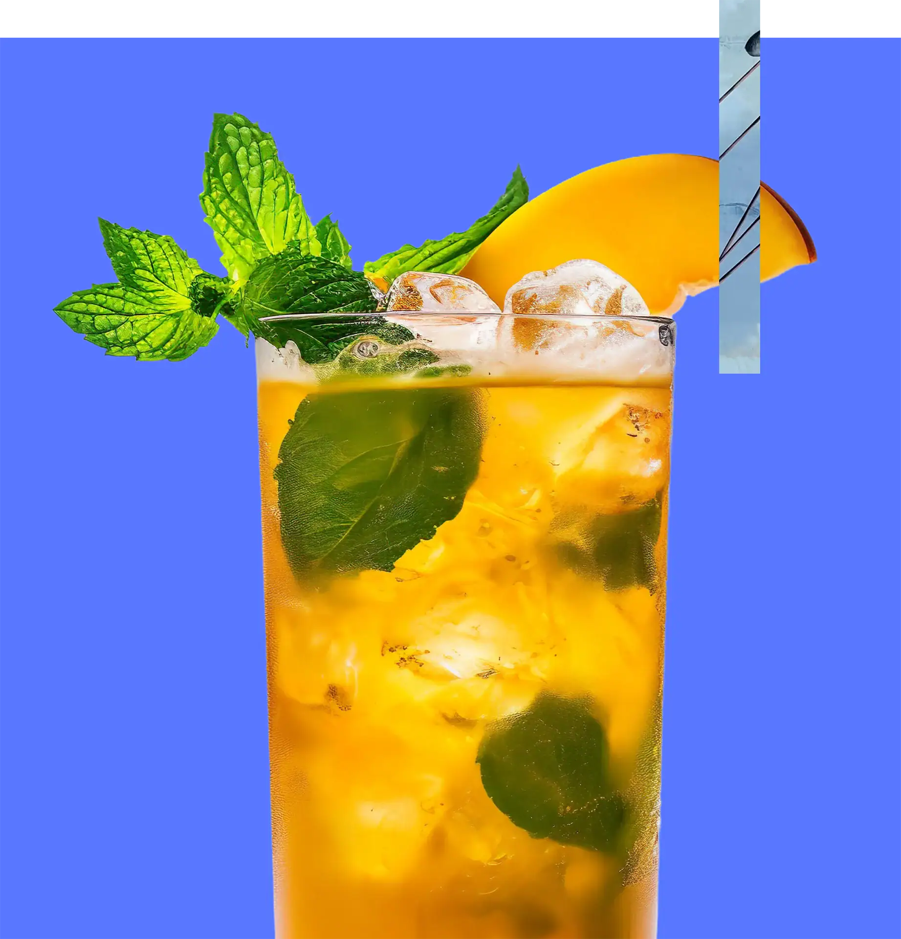 Mango mint iced tea with fresh mint leaves and ice cubes on a blue background.