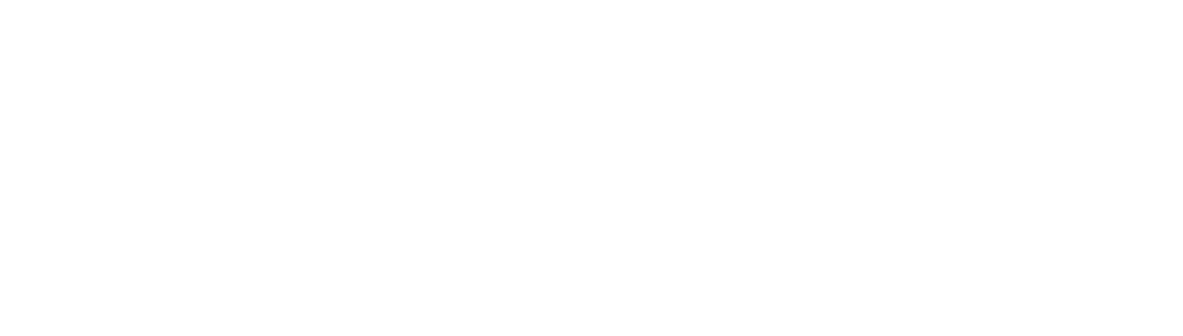 Item 1