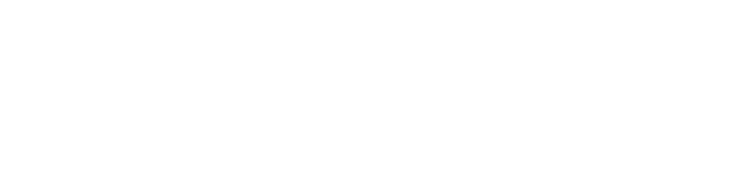 Item 1