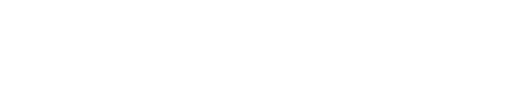Item 1