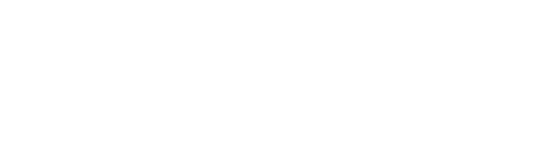 Item 1