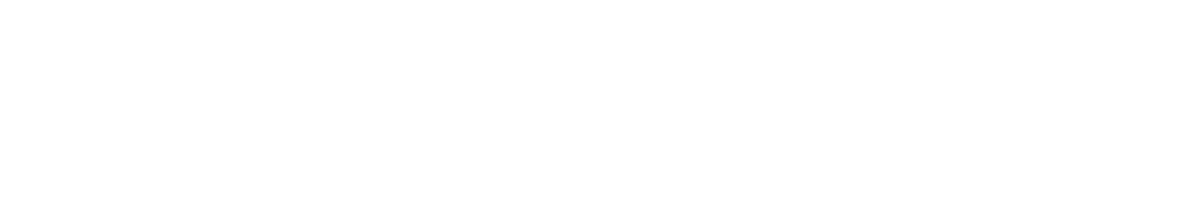 Item 1