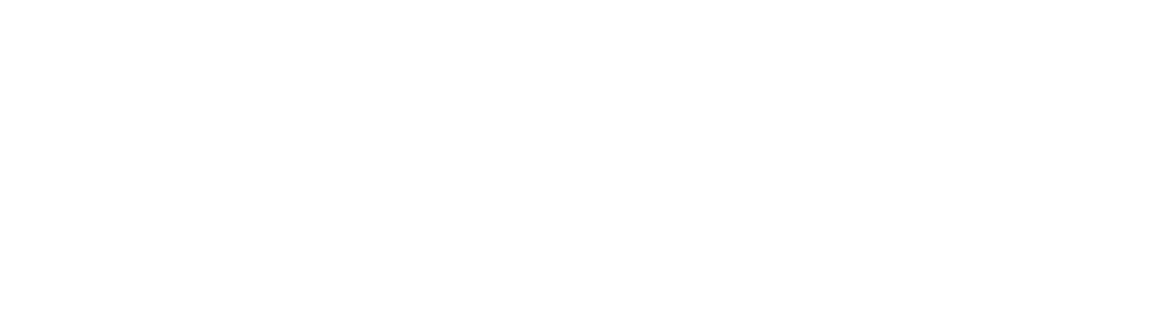 Item 1