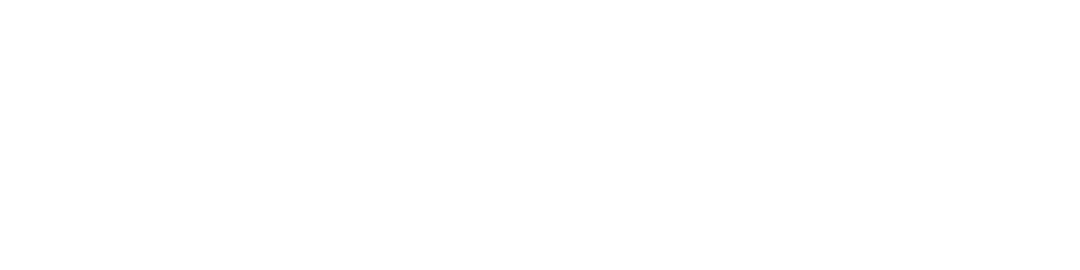 Item 1