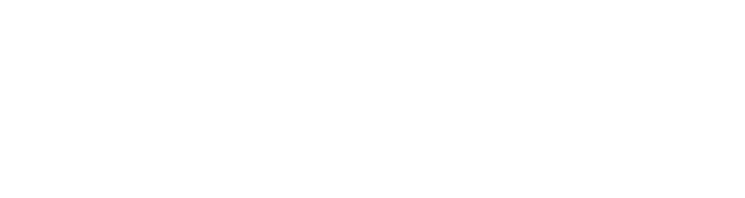 Item 1