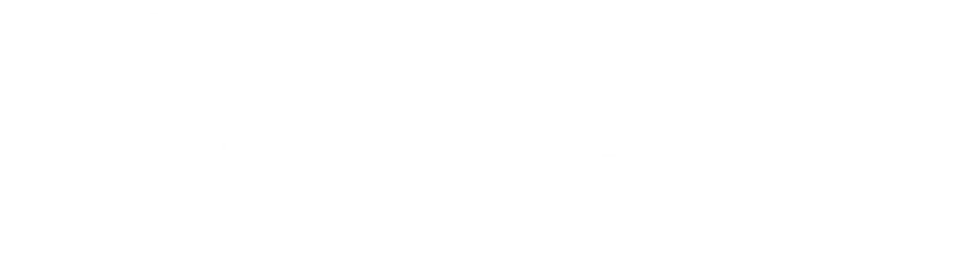Item 1