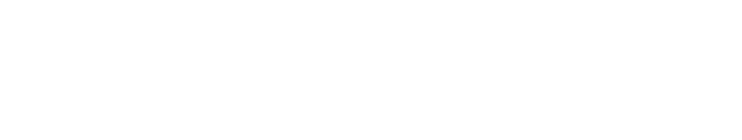 Item 1