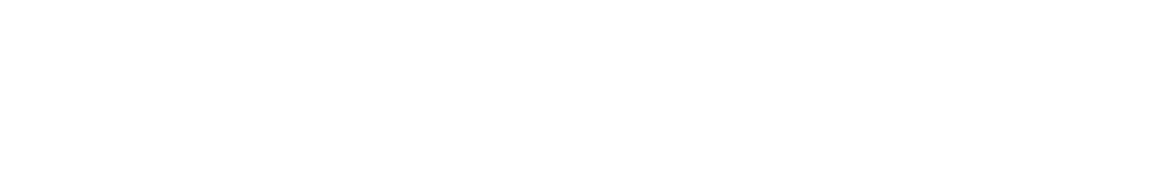 Item 1