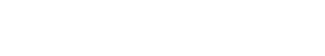 Item 1
