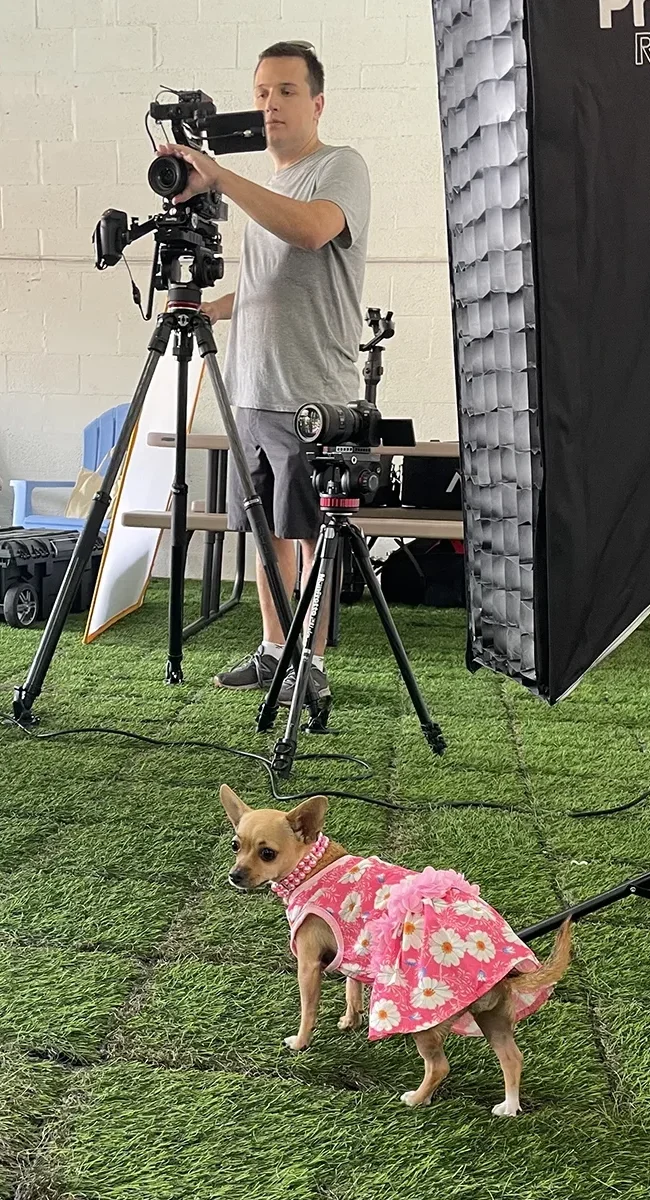 Alex setting up camera equipment for a filming session with helper Lola, a dog dressed in a colorful outfit posing on green grass.