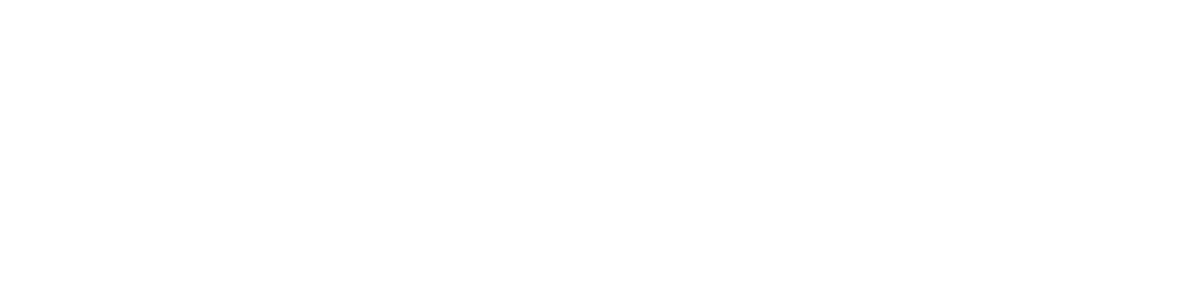Item 1