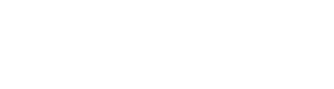 Item 1