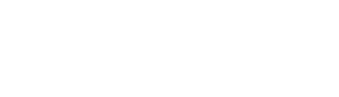 Item 1