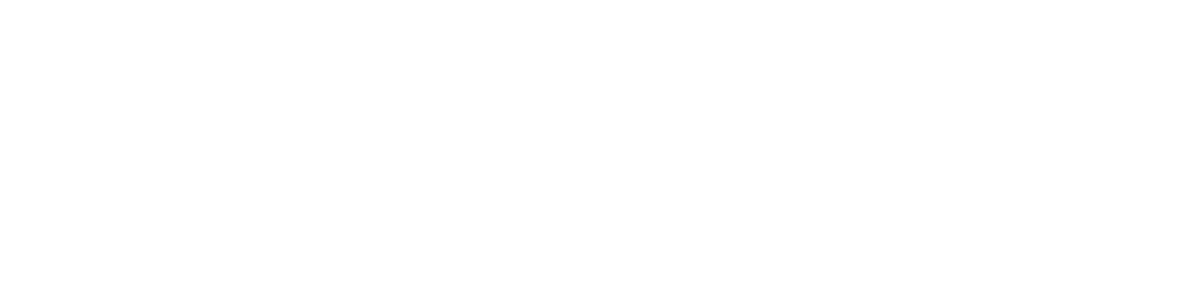 Item 1