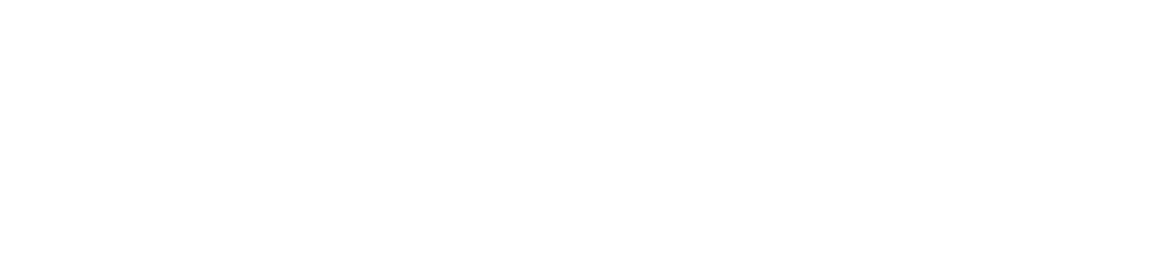 Item 1