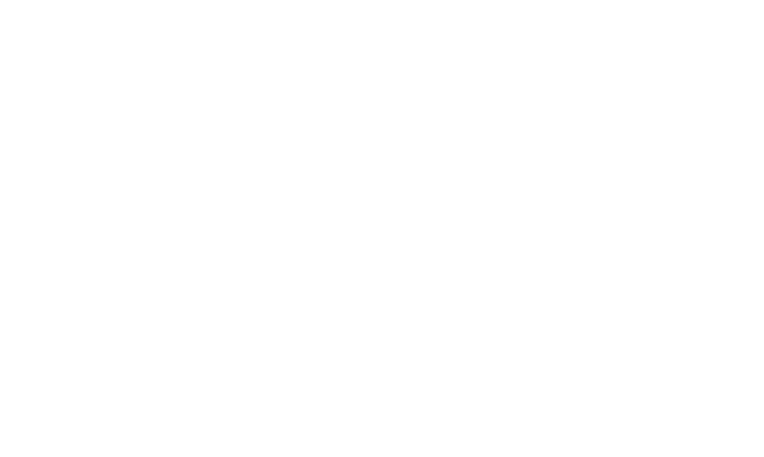 Item 1