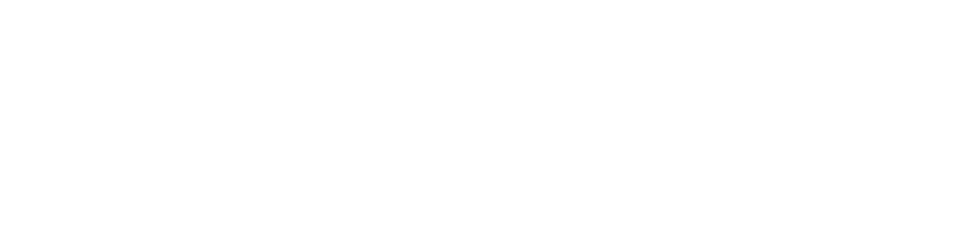 Item 1