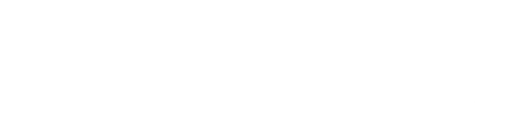 Item 1