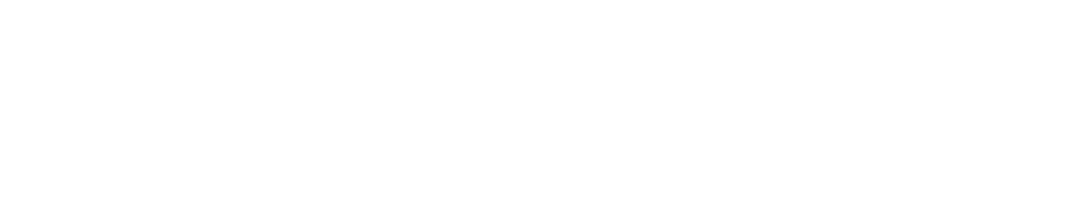 Item 1