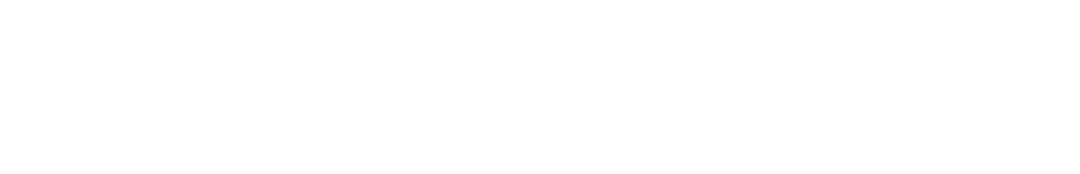 Item 1