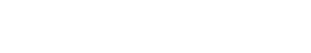 Item 1