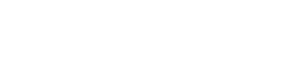 Item 1