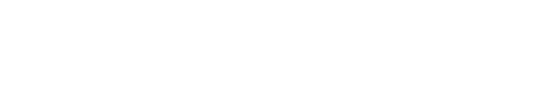 Item 1