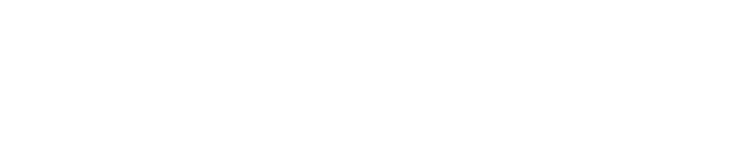 Item 1