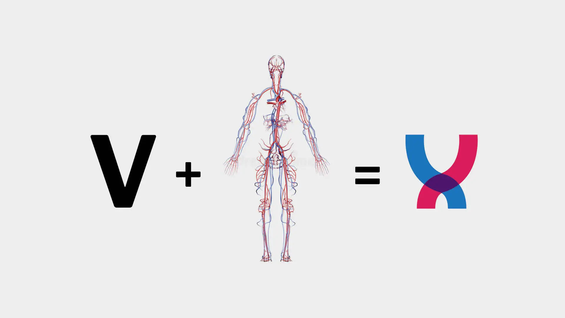 Picture of a equation "V + human vascular system = new logo"