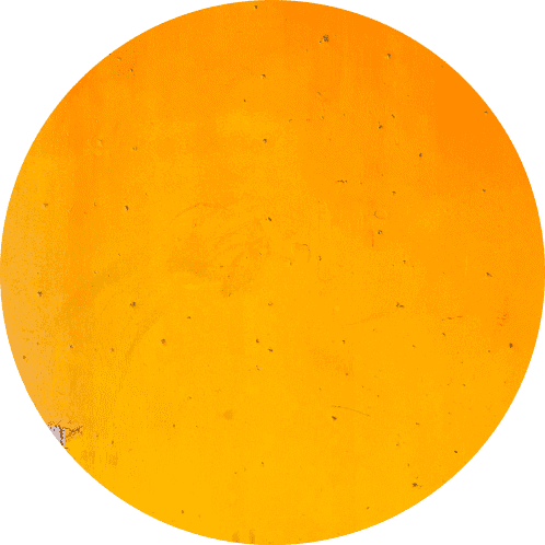 Orange Circle