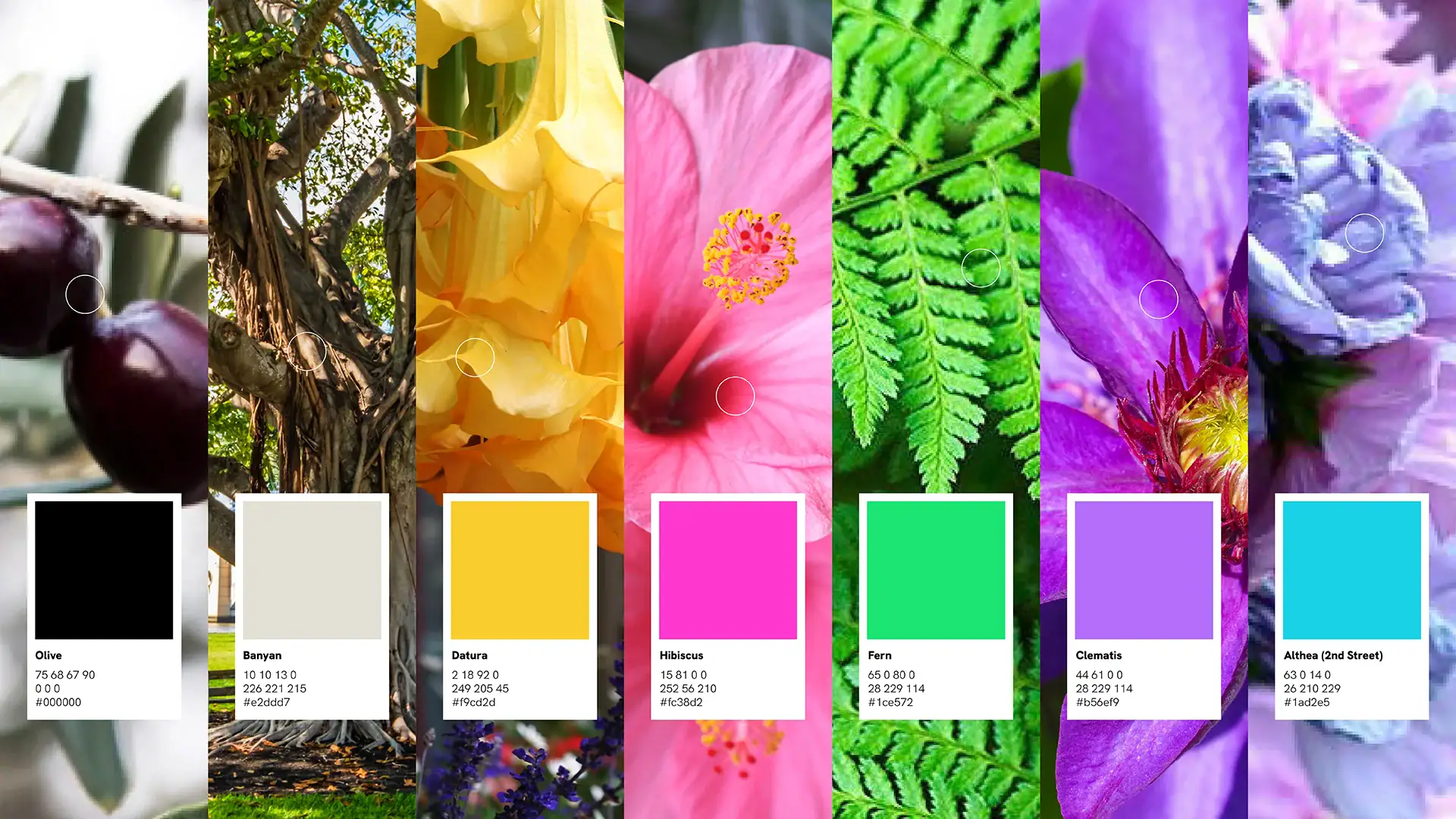 Bright collage of various flowers and plants showcasing vibrant colors and diverse textures.